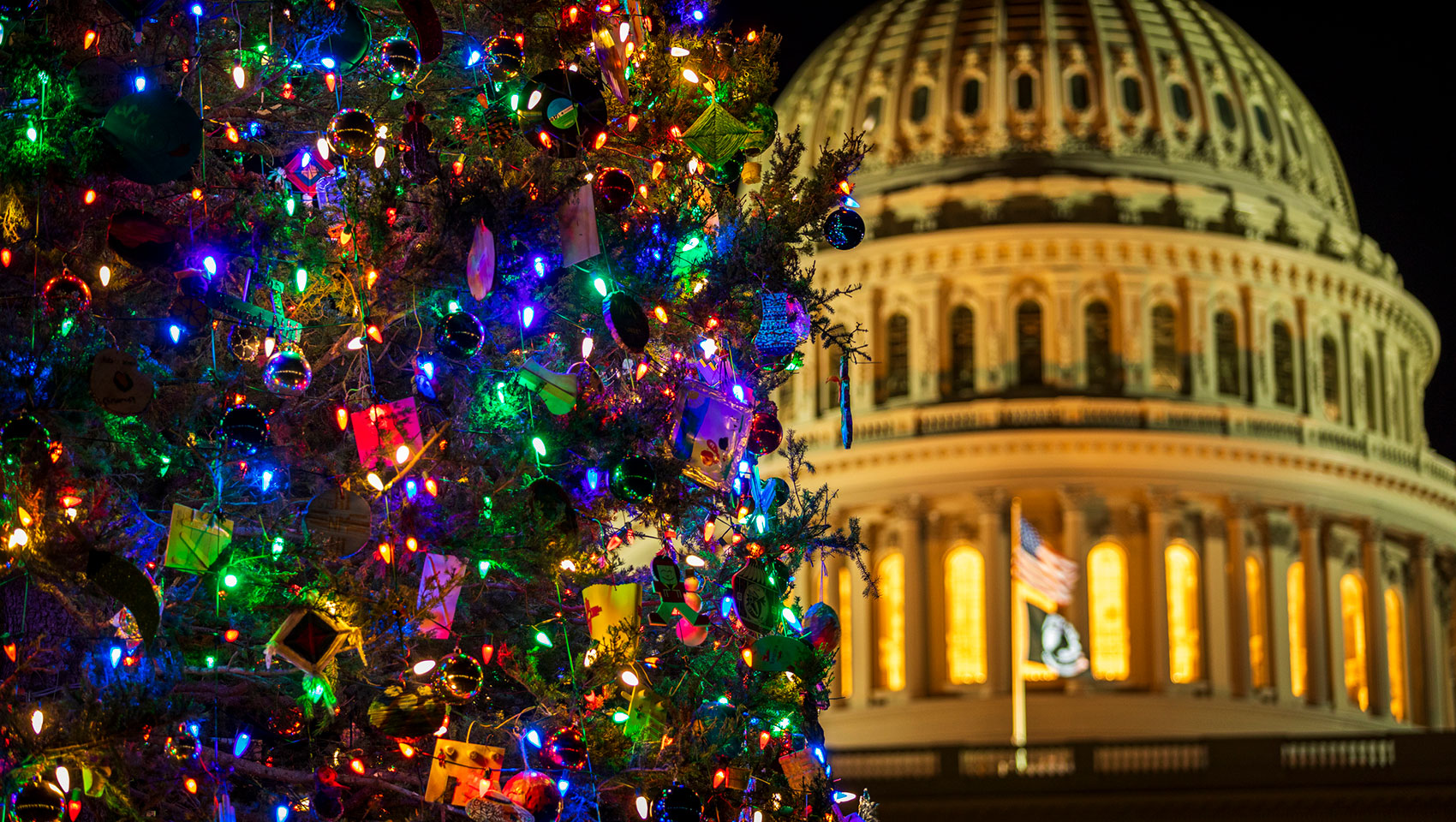 christmas tree with capitol building in the background