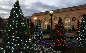 batanic gardens at Christmas