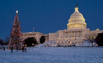 capitol christmas tree